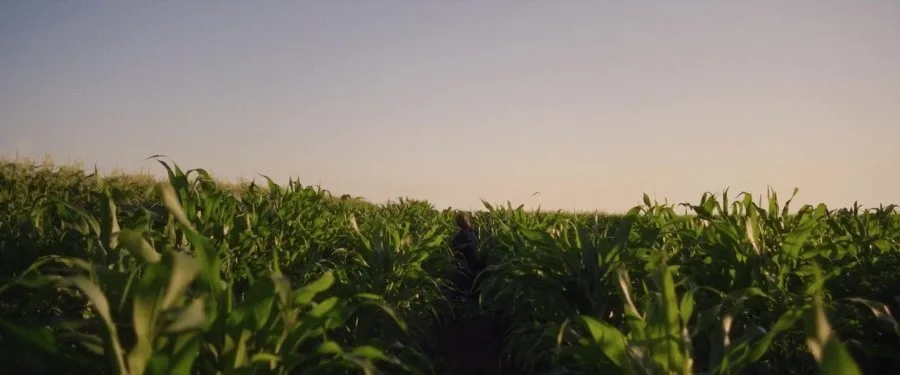 Frame 10