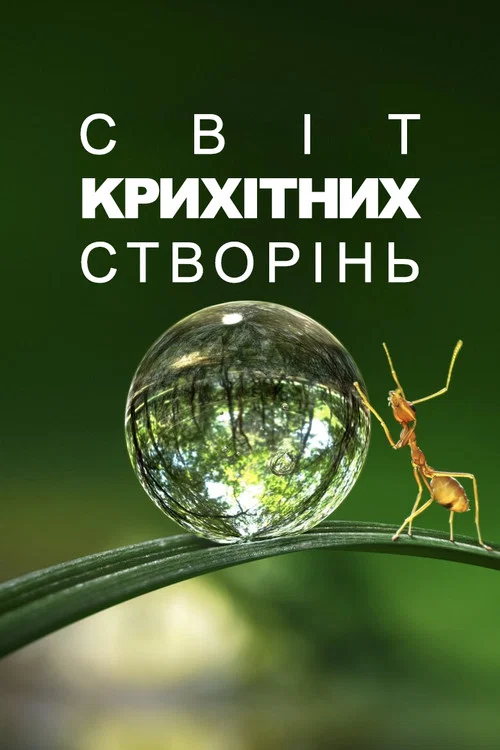 Крихітний світ / Світ крихітних створінь