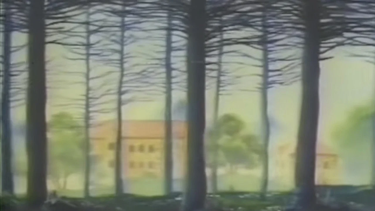 Frame 5