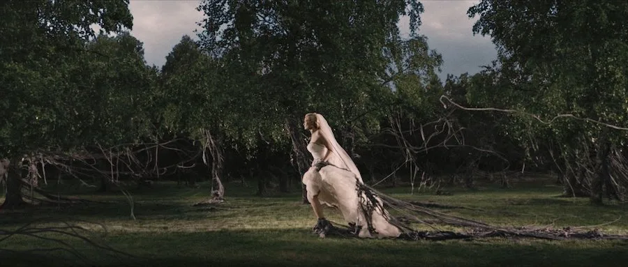 Frame 8