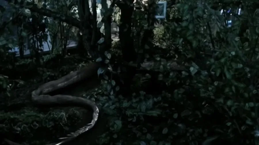 Frame 2