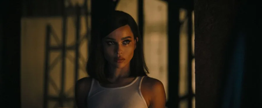 Frame 5