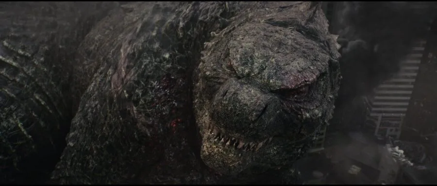 Frame 6