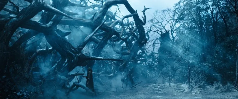 Frame 8