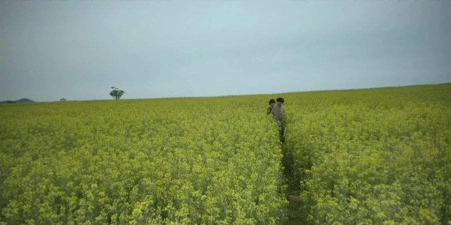 Frame 6