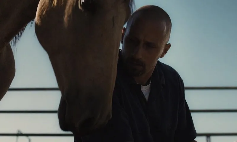 Frame 6