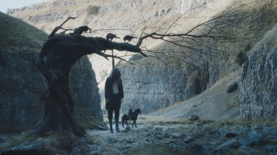 Frame 5