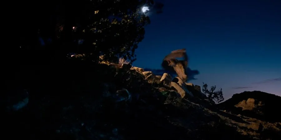 Frame 13