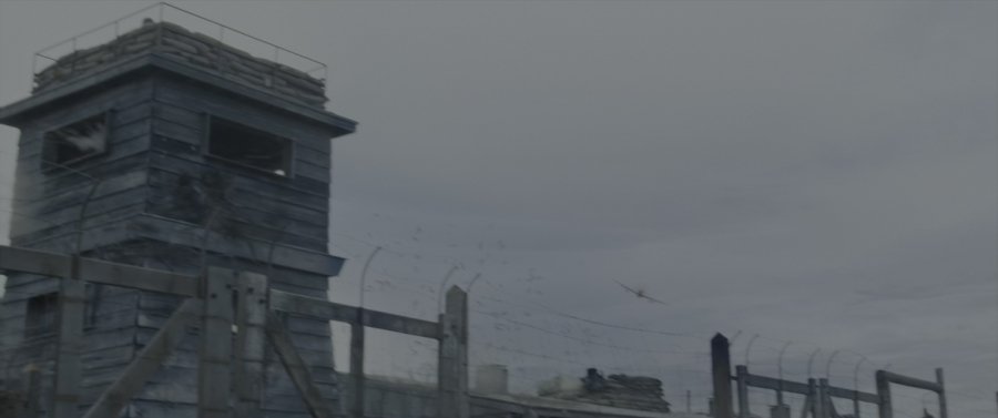 Кадр 13