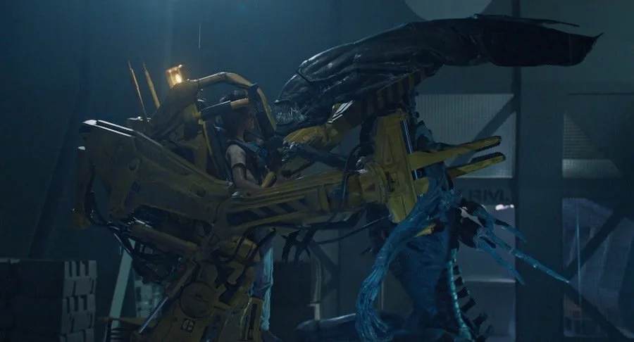 Frame 6