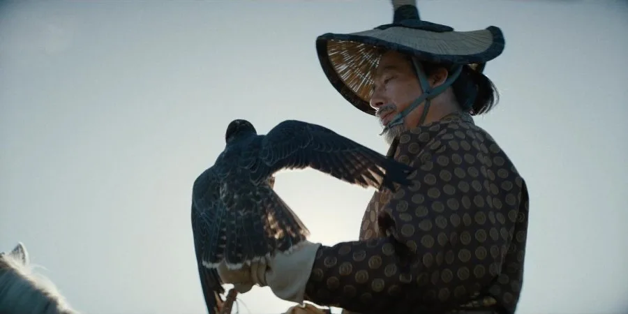 Frame 17
