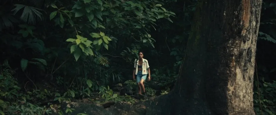 Frame 5
