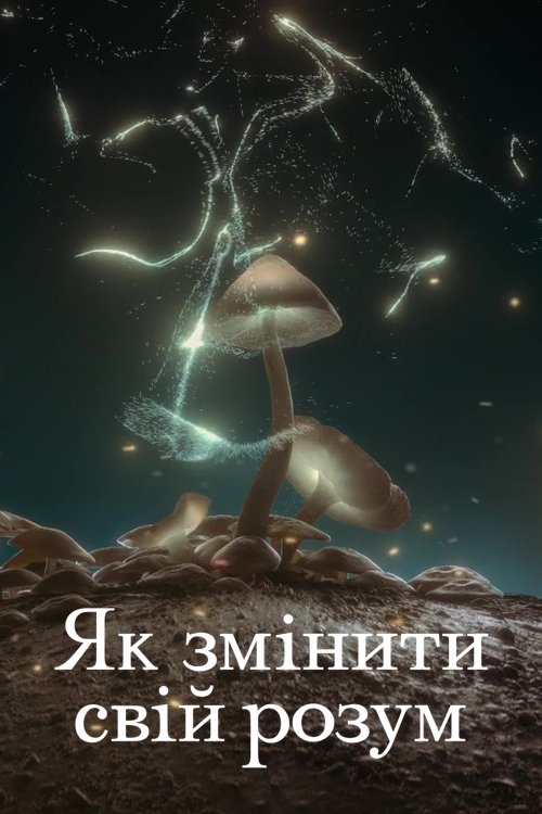 Як змінити свій розум