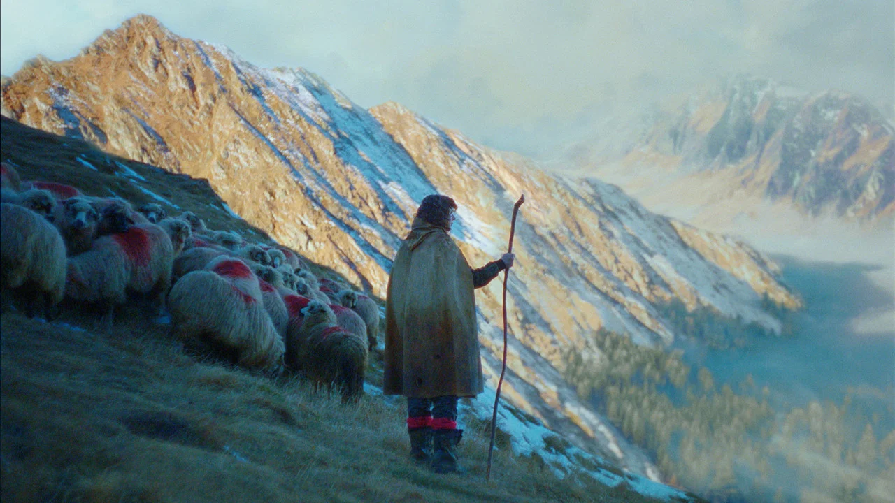 Frame 7