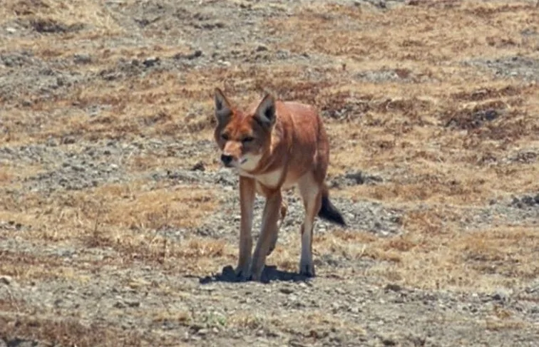 Кадр 5