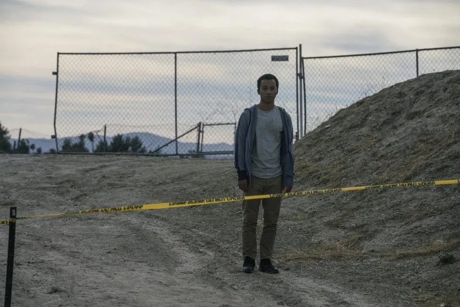 Frame 5