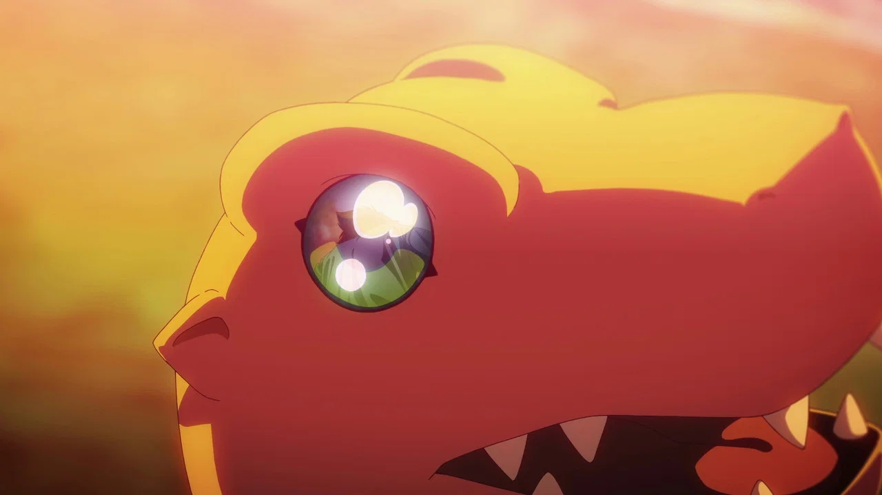 Frame 8