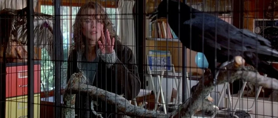 Frame 6