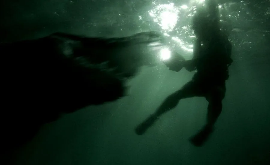 Frame 7