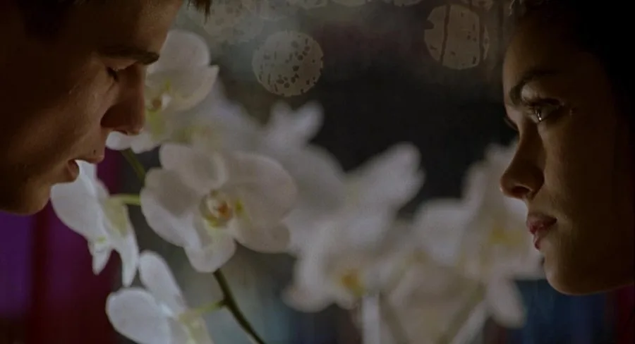 Frame 11