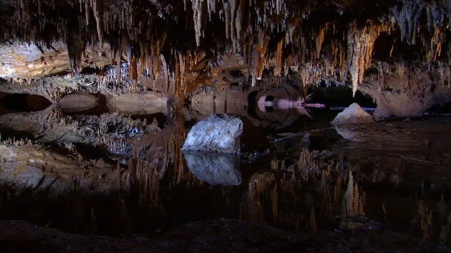Frame 5