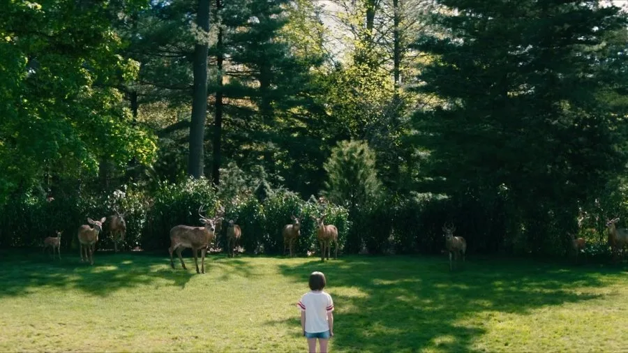 Frame 14
