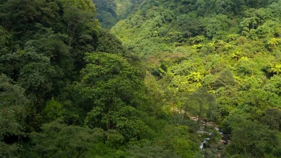 Frame 5