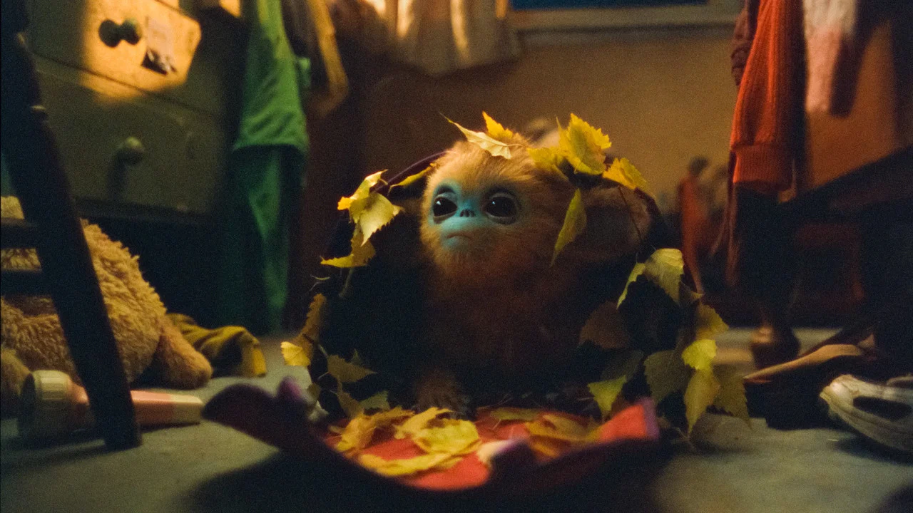 Frame 9