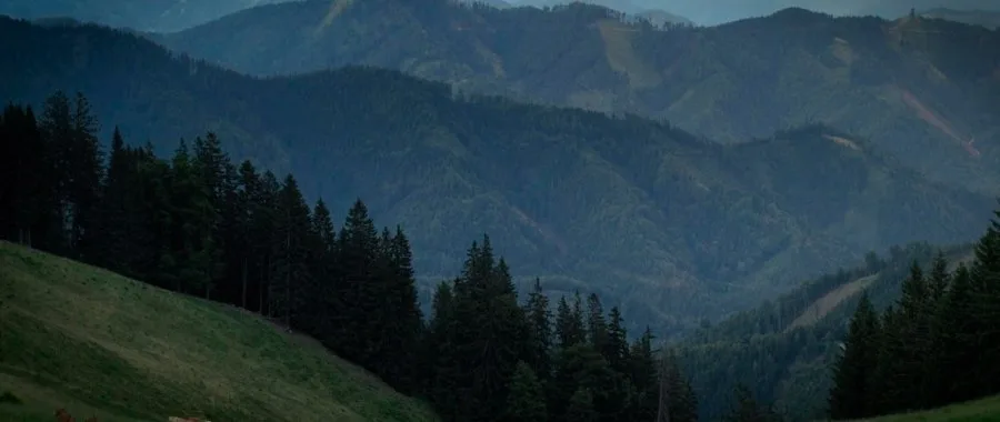 Frame 3