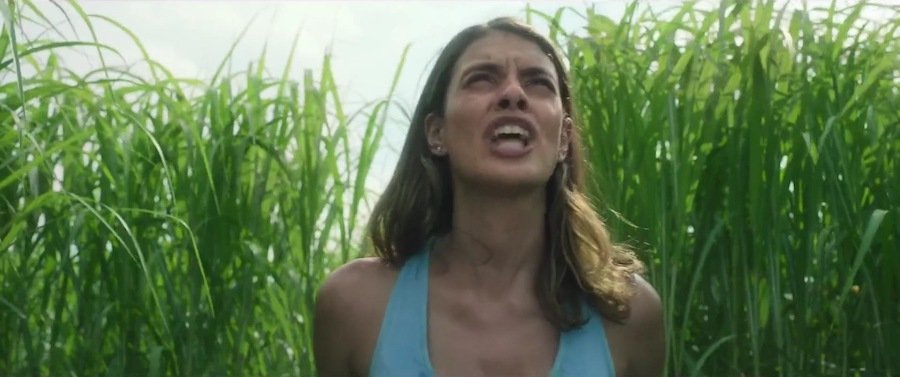 Кадр 3