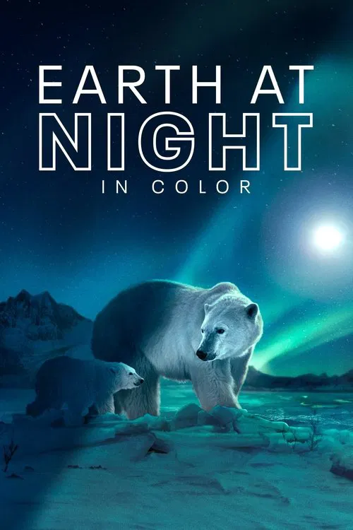 Earth At Night In Color