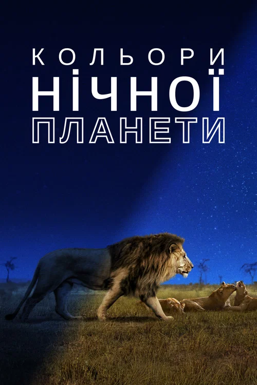 Кольори нічної планети / Світ ночі у кольорі