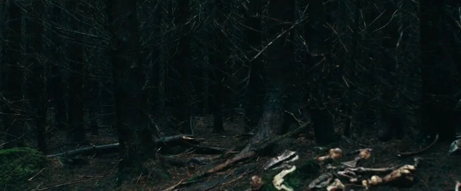 Frame 7