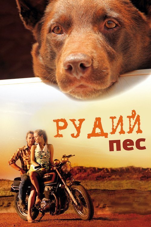 Рыжий пёс