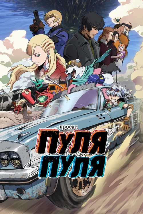 Проект Пуля/Пуля