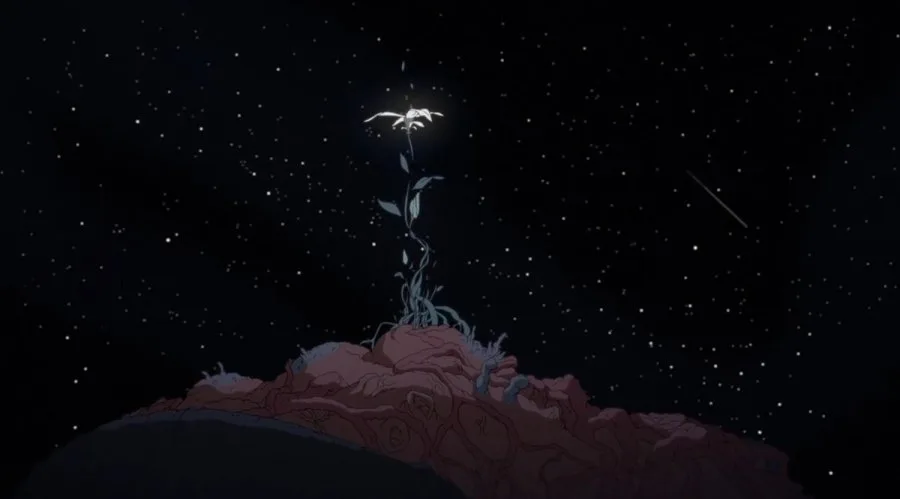 Frame 12