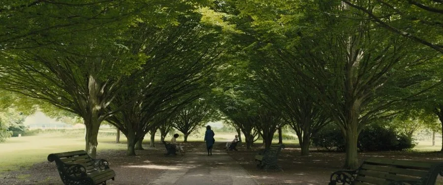 Frame 8