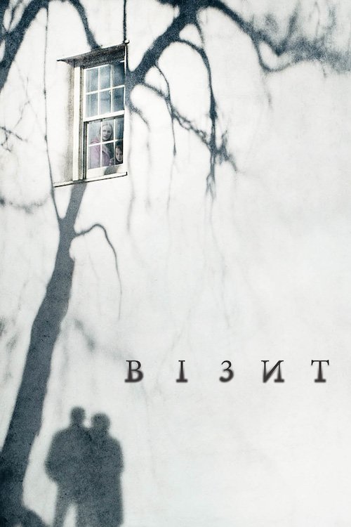 Визит