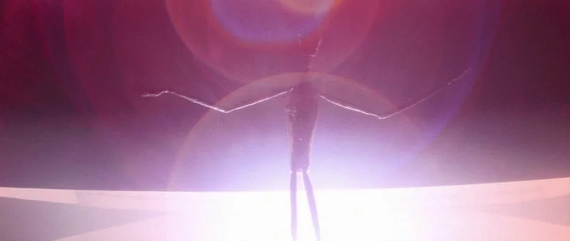 Frame 6