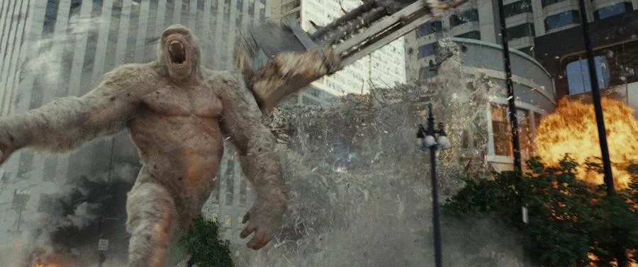 Frame 8