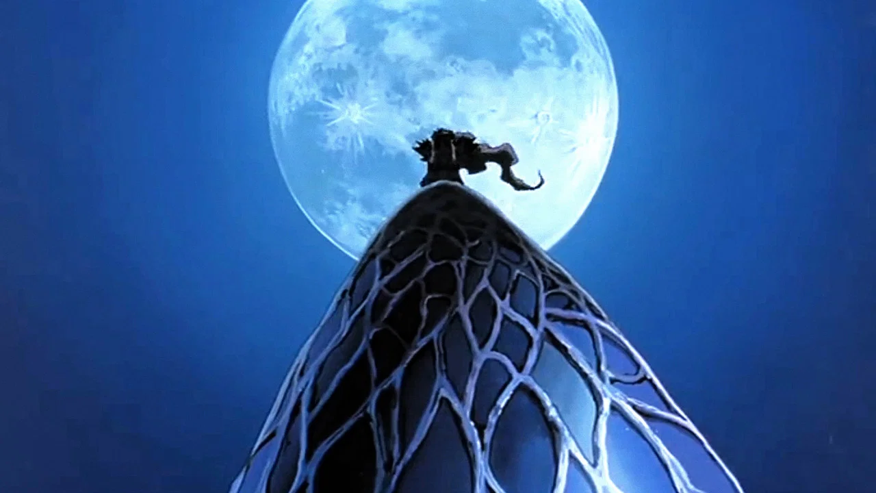 Frame 7